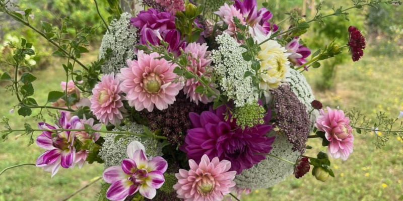 Sfondi (6)