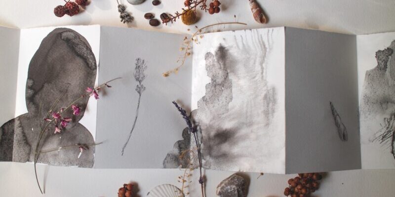 Kanaco_Takahashi_Osservazione_Disegno_Sumi_01